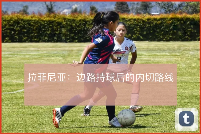 拉菲尼亚：边路持球后的内切路线